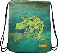 Vrečka za copate Street Dinosaur