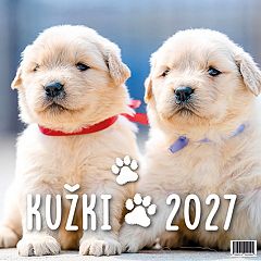 Koledar stenski 2027 JM Kužki