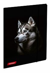 Mapa z elastiko A4 Target Animal Wild