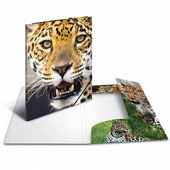 Mapa z elastiko A4 Herma Leopard