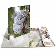 Mapa z elastiko A4 Herma Glossy Koala