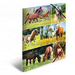 Mapa z elastiko A4 Herma Horse Meadow