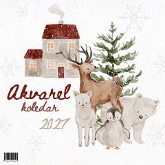 Koledar stenski 2027 JM Akvarel
