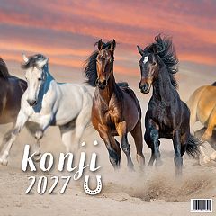Koledar stenski 2027 JM Konji