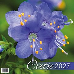 Koledar stenski 2027 JM Cvetje