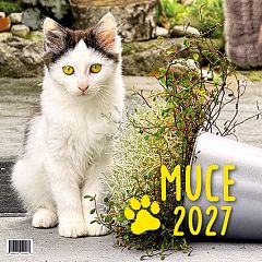 Koledar stenski 2027 JM Muce