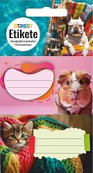 Etikete za zvezke Street Animals Cute 10/1