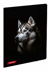 Mapa z elastiko A4 Target Animal Wild
