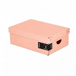 Arhivska škatla za shranjevanje A4 Oxybag Pastelini Apricot