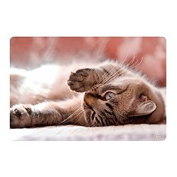 Namizna podloga Spirit Mačka