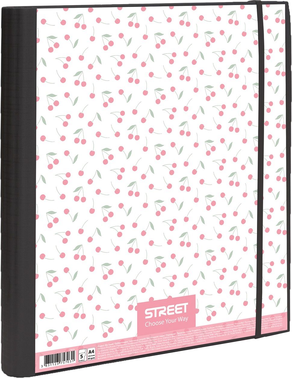Rinčna mapa A4 Street Dreams 100L