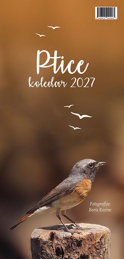 Koledar stenski 2027 JM Ptice