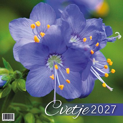 Koledar stenski 2027 JM Cvetje