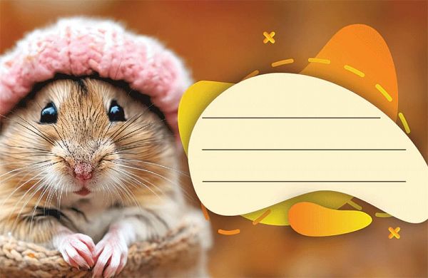 Etikete za zvezke Street Animals Cute 10/1