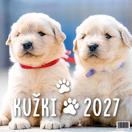 Koledar stenski 2027 JM Kužki