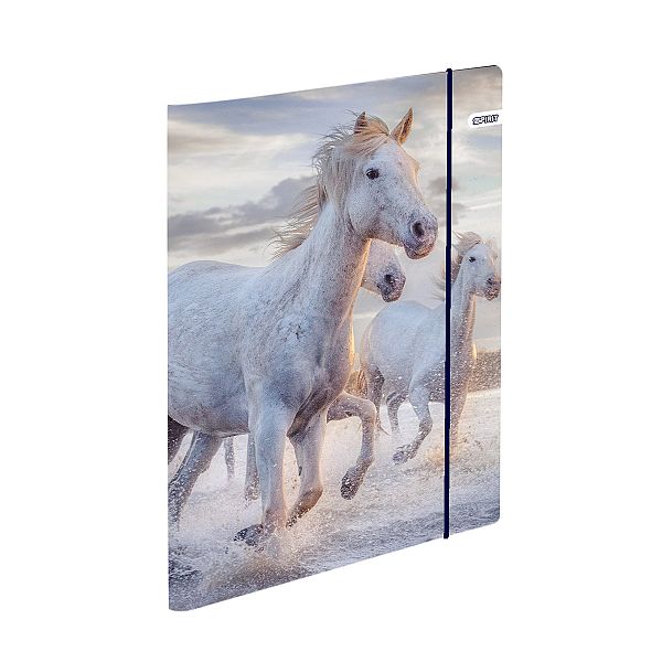 Šolski 4-delni set Cool Collection MAGICAL HORSE