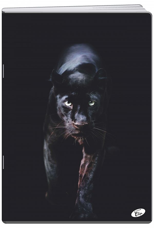 Zvezek A4 1cm karo Elisa Animal 54L