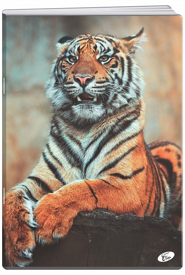 Zvezek A4 1cm karo Elisa Animal 54L