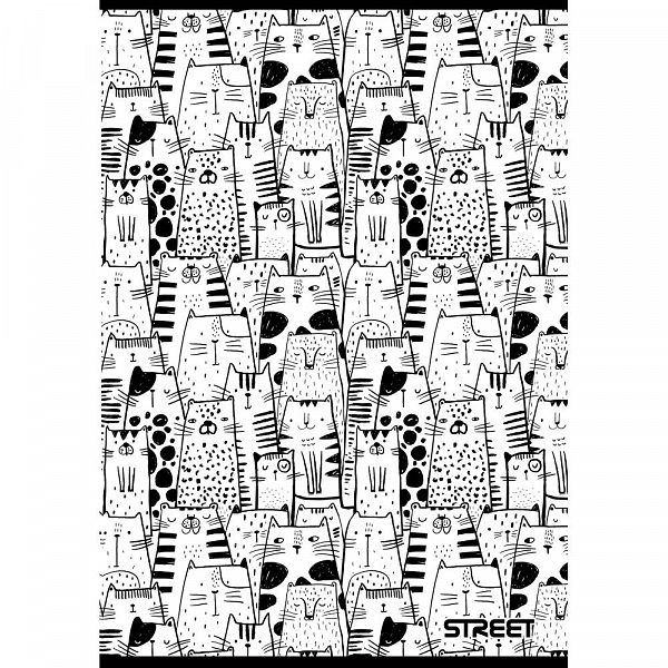 Zvezek A5 črte Street Black & White 54L