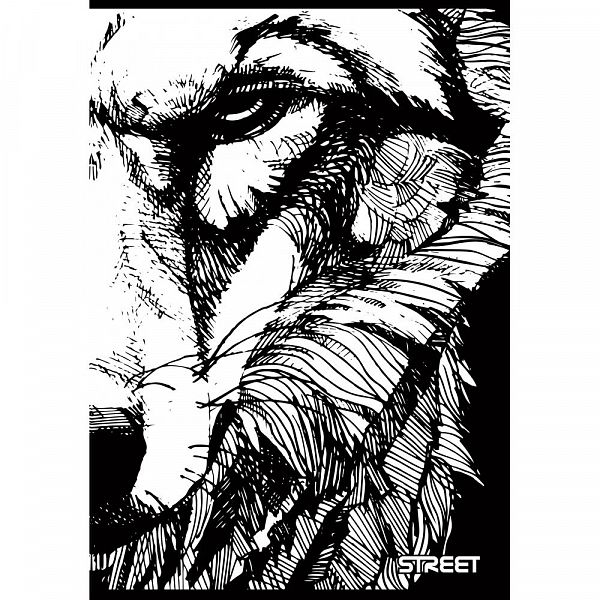 Zvezek A5 črte Street Black & White 54L