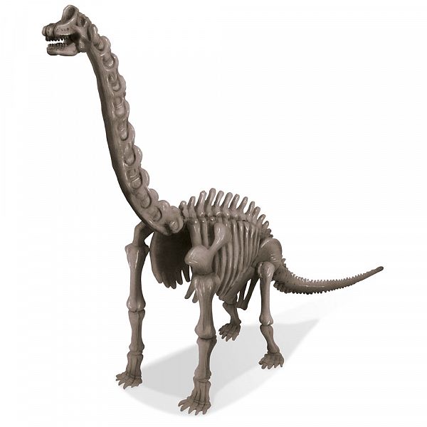 Raziskovalni set - Set za izkopavanje dinozaver Brahiozaver