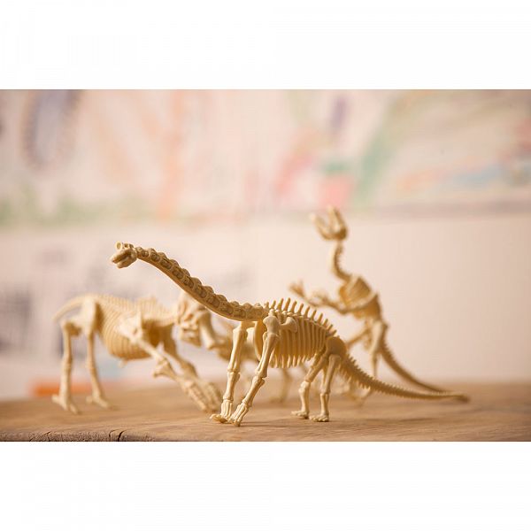 Set za izkopavanje - dinozaver Stegozaver