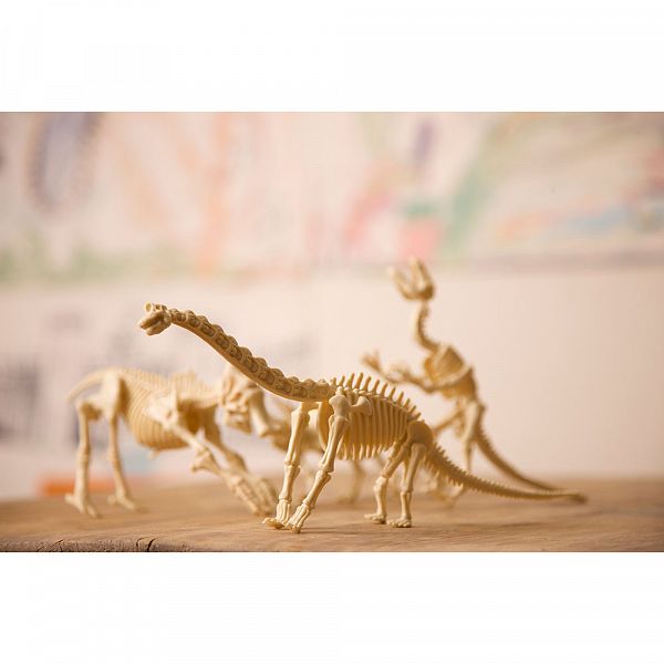 Raziskovalni set - Set za izkopavanje dinozaver Stegozaver