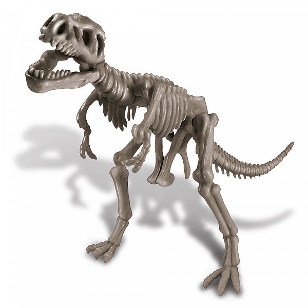 Raziskovalni set - Set za izkopavanje dinozaver Tiranozaver
