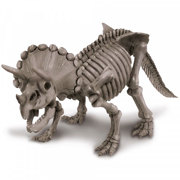 Raziskovalni set - Set za izkopavanje dinozaver Triceratops