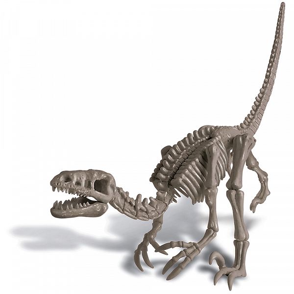 Set za izkopavanje - Dinozaver Velociraptor