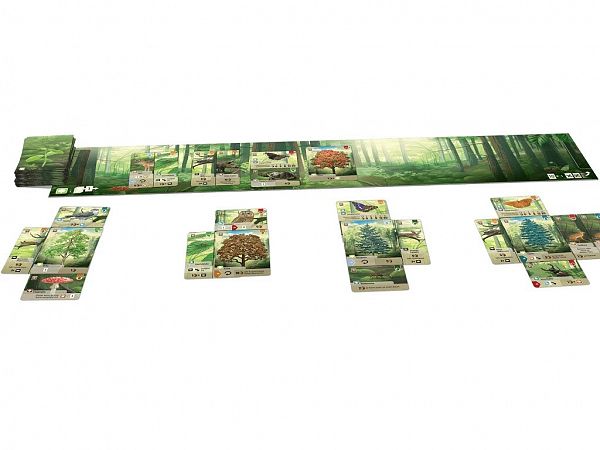 Družabna igra s kartami Mešani Gozd