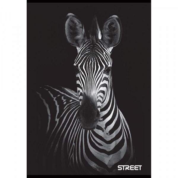 Zvezek A4 1cm karo Street Safari 54L