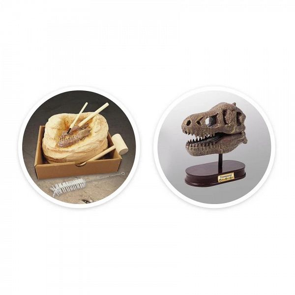 Raziskovalni set Buki Museum Skull – T-Rex