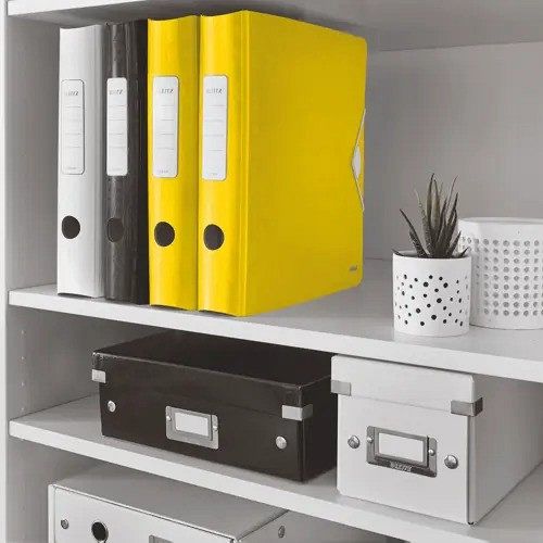 Registrator Leitz Active WOW A4 180° 65mm rumen