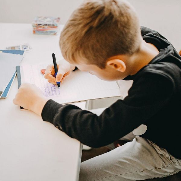 Roler Schneider Base Ball modro-črn