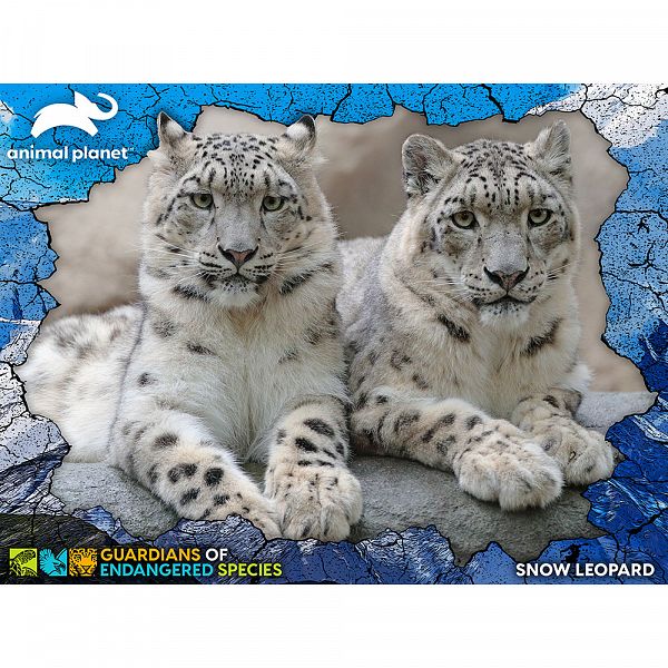Sestavljanka 3D 100 Snežni leopard 