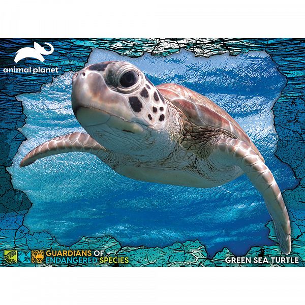 Sestavljanka 3D 100 Zelena morska želva 