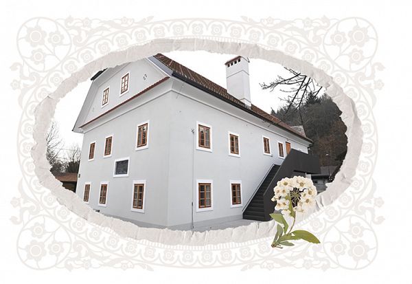Koledar stenski 2027 JM Domačije Slovenije