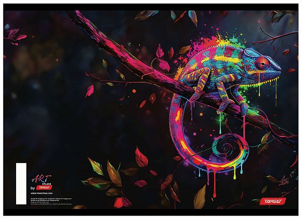 Zvezek A4 karo Target Art Splash 54L